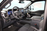 New 2025 Ford F250 Platinum image 2