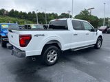 Used 2024 Ford F150 XLT image 3