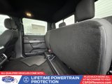 New 2025 Ford F150 XLT w/ Equipment Group 302A MID image 4
