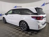 New 2025 Honda Odyssey Elite image 3
