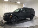 New 2025 Hyundai Santa Fe Calligraphy image 4
