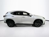Used 2022 Lexus NX 350 AWD w/ Premium Package image 4