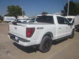 New 2025 Ford F150 XLT w/ Equipment Group 301A Standard image 6