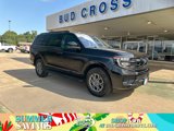 New 2025 Ford Expedition Active image 1