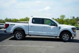 Used 2024 Ford F150 XLT w/ Mobile Office Package image 4