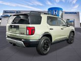 New 2026 Honda Passport TrailSport Elite image 4