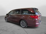 Certified 2021 Honda Odyssey EX-L image 5