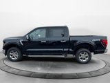 New 2025 Ford F150 XLT w/ Equipment Group 302A MID image 2