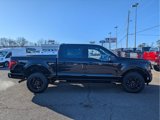 New 2025 Ford F150 XLT w/ Equipment Group 302A MID image 4