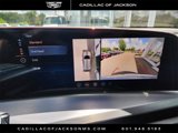 New 2026 Cadillac Vistiq Luxury image 4