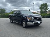 Certified 2022 Ford F150 XLT w/ Equipment Group 302A High image 3