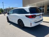 New 2026 Honda Odyssey Sport-L image 2