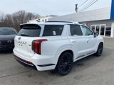 New 2025 Hyundai Palisade Calligraphy image 3