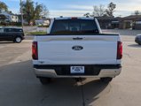 New 2024 Ford F150 XLT w/ Equipment Group 302A MID image 6