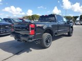 New 2025 Ford F250 Platinum image 4