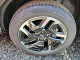 Used 2025 Subaru Forester Limited w/ Popular Package #1 image 4