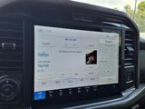 New 2025 Ford F150 XLT w/ Equipment Group 302A MID image 4