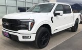 New 2025 Ford F150 Platinum w/ Equipment Group 702A High image 3