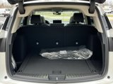 New 2025 Acura RDX SH-AWD w/ Advance Package image 6