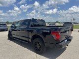 Certified 2024 Ford F150 STX w/ STX Black Appearance Package image 6