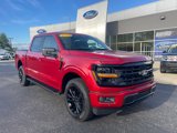 New 2025 Ford F150 XLT image 2