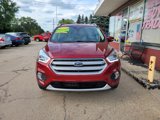 Used 2019 Ford Escape Titanium image 2
