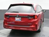 New 2025 Honda Odyssey Sport-L image 5