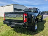 New 2025 Ford F450 Platinum w/ Platinum Plus Package image 3