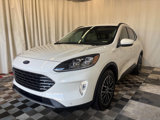 Used 2021 Ford Escape Titanium image 4