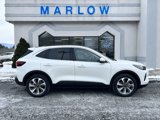 New 2025 Ford Escape Platinum w/ Premium Technology Package image 3