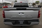 New 2024 Ford F150 STX w/ STX Black Appearance Package image 4