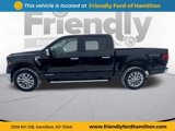 New 2025 Ford F150 XLT w/ Equipment Group 303A High image 2