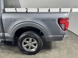 Used 2024 Ford F150 XLT image 5