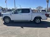 New 2025 Ford F150 XLT image 2