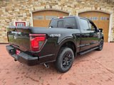 New 2025 Ford F150 XLT w/ Equipment Group 302A MID image 3