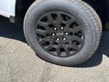 New 2025 Chevrolet Colorado W/T w/ WT Custom Package image 5