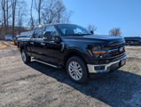 New 2025 Ford F150 XLT w/ Equipment Group 302A MID image 5