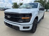 New 2025 Ford F150 XLT image 2