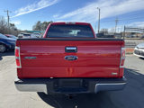 Used 2010 Ford F150 XLT image 6
