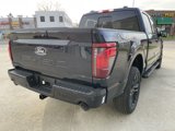 New 2025 Ford F150 XLT image 4