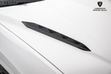 Used 2023 Lamborghini Urus S image 3