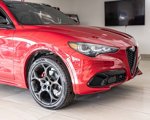 New 2025 Alfa Romeo Stelvio Tributo Italiano image 3