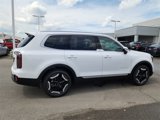 New 2025 Kia Telluride EX image 2