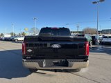 New 2025 Ford F150 King Ranch image 4