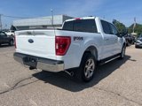 Certified 2023 Ford F150 XLT w/ Equipment Group 302A High image 3