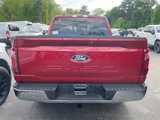 New 2025 Ford F150 XLT w/ Equipment Group 302A MID image 3