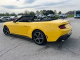 Used 2024 Ford Mustang Premium image 4