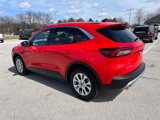 Used 2024 Ford Escape Active image 3