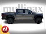 New 2025 Ford F150 Raptor image 2