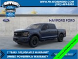 New 2025 Ford F150 XLT w/ Equipment Group 302A MID image 1